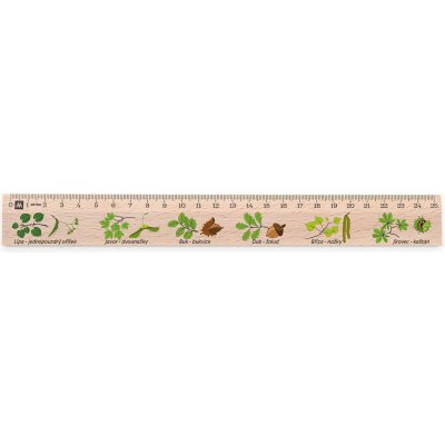 Metrie Didakt-M07 Dřevěné pravítko s potiskem Listnaté stromy 25 cm – Zboží Živě
