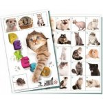 Bonaparte Pexeso: Kočky – Zbozi.Blesk.cz