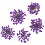 Starnails Sušené květy na nehty Purple 5 ks – Hledejceny.cz