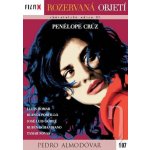 Rozervaná objetí DVD – Hledejceny.cz