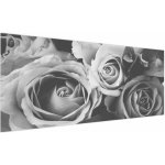 Obraz - Růže, černobílá, jednodílný 250x125 cm – Hledejceny.cz
