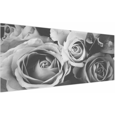 Obraz - Růže, černobílá, jednodílný 250x125 cm – Hledejceny.cz