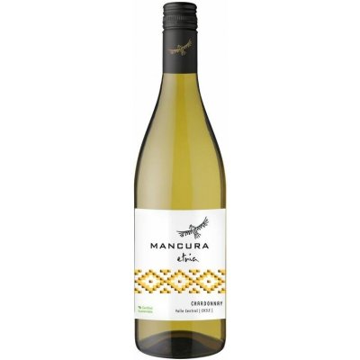 Morande Mancura Chardonnay 2023 13% 0,75 l (holá láhev) – Hledejceny.cz