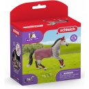 Schleich 42456 Klisna trakénského koně jezdecký turnaj