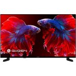 GoGEN TVF 40P420T – Zboží Mobilmania