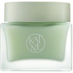 Kaine Green Calm Aqua Cream Zklidňující krém redukující začervenání pleti 70 ml – Hledejceny.cz