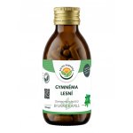 Salvia Paradise Gymnéma lesní kapsle BIO 120 ks – Hledejceny.cz