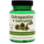 GALMED Ostropestřec + curcumin forte 60 kapslí – Hledejceny.cz