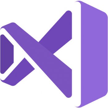 Visual Studio 2019 Professional OLP C5E-01380