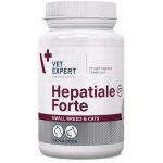 VetExpert Hepatiale Forte Small breed & cats 40 kapslí – Zboží Mobilmania