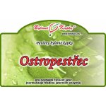 Green idea Ostropestřec tinktura 50 ml – Hledejceny.cz