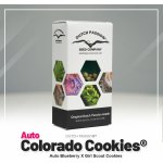 Dutch Passion AUTO Colorado Cookies semena neobsahují THC 7 ks – Zboží Dáma