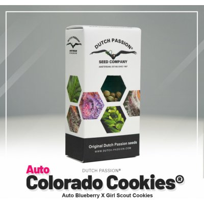 Dutch Passion AUTO Colorado Cookies semena neobsahují THC 3 ks – Zboží Mobilmania