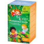 Sonnentor Rarášci Poznávací sada Bio 31 g 20 ks – Zboží Dáma