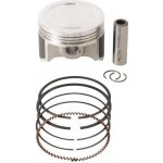 Vertex TRX 250 TE/TM FOURTRAX RECON | Zboží Auto