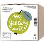 Rychnovský mošt jablko 100% 5l – Zboží Dáma