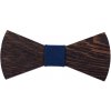 Motýlky The Bow Bow Ties Dark TBBT-010 s modrou stuhou