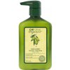 Šampon Chi Olive Organics Shampoo šampon s olivovým olejem 340 ml