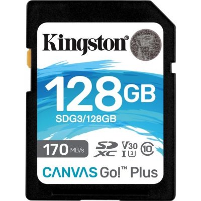 Kingston SDXC Class 10 128GB SDG3/128GB – Zboží Mobilmania