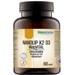 EDENPharma NANOLIP K2+D3 Mag Vital 60 kapslí – Hledejceny.cz