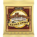 Ernie Ball 2006 – Sleviste.cz