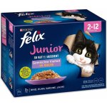 Felix Junior Fantastic lahodný výběr v želé 12 x 85 g – Zboží Mobilmania