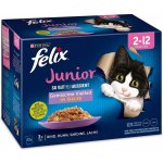 Felix Junior Fantastic lahodný výběr v želé 12 x 85 g – Sleviste.cz