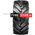 Trelleborg TM1060 710/60-38 171D TL – Hledejceny.cz
