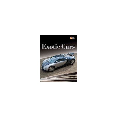 Exotic Cars Lamm JohnPaperback – Zboží Mobilmania