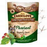 Carnilove Dog Pouch Paté Pheasant with Raspberry Leaves 300 g