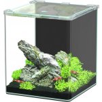 Aquatlantis Kubus Curve LED Basic 20 l – Sleviste.cz