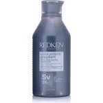 Redken Color Extend Graydiant Conditioner 300 ml – Zbozi.Blesk.cz