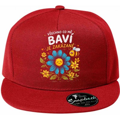 Všechno co mě baví je zakázané 5P RAP – Hledejceny.cz
