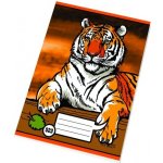 ŠKOLÁČEK Sešit školní 523 A5 široká linka – Zboží Dáma