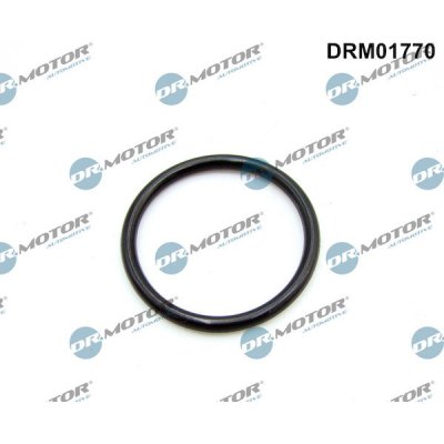 Dr.Motor Automotive DRM01770 – Hledejceny.cz