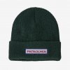 Dětská čepice Patagonia Kids' Logo Beanie Chill: Conifer Green