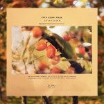 Dr. Althea Vita Glow Mask Vyživující plátýnková maska 27 ml – Sleviste.cz