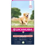 Eukanuba Senior Large & Giant Lamb 12 kg – Zboží Mobilmania
