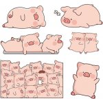 6 ks vtipných samolepek na auto s prasátkem, samolepky na motocykl, skútr, dekorace auta, hladké | Zboží Auto