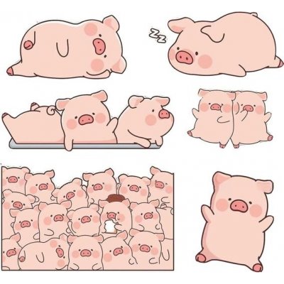 6 ks vtipných samolepek na auto s prasátkem, samolepky na motocykl, skútr, dekorace auta, hladké | Zboží Auto
