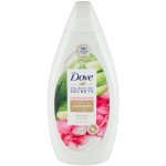 Dove Soothing Summer Ritual Aloe Vera a Voda z růží sprchový gel 500 ml – Zbozi.Blesk.cz