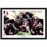 TRADAG Natura 40 x 60 černý – Zboží Živě