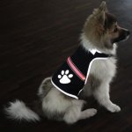 Trixie Flash bezpečnostní vesta – Hledejceny.cz