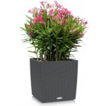 Lechuza Cube Cottage Květináč Antracit 40 cm – Zboží Dáma