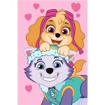 Jerry Fabrics Dětská fleecová deka Paw Patrol PP518 – Hledejceny.cz