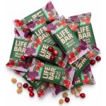Lifefood Lifebar Oat Snack Protein BIO 13 x 40 g – Hledejceny.cz