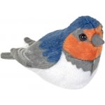 ptáček Vlaštovka – Zboží Dáma