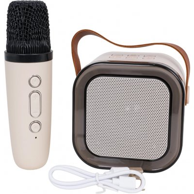Karaoke set s bezdrátovým mikrofonem a přenosným Bluetooth reproduktorem s RGB – Zboží Dáma
