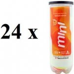 Tecnifibre Mini Tennis 72 ks – Zboží Dáma