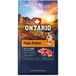 Ontario Puppy Medium Lamb & Brown Rice 6,5 kg – Hledejceny.cz